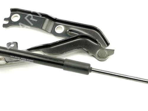 hingedoor-check-strap-vw-tiguan-ct1-2023-34728390 main image