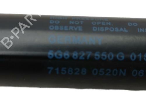 Tailgate lift support VW GOLF VII Van (5G1) 1.6 TDi | BP34731795C138 - Image 7