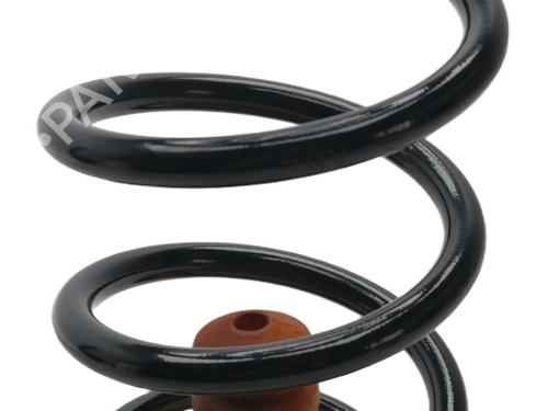 Used Shock absorber spring Shock absorber spring VW MULTIVAN T7 (STM, STN) 1.5 TSi (136 hp) 36289619 36289619