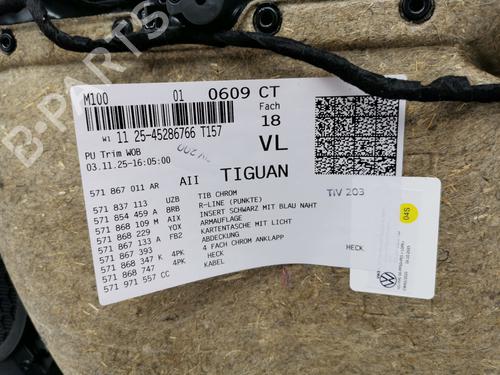 Front left panel VW TIGUAN (CT1) 2.0 TSI 4motion | BP34732263C58 - Image 6