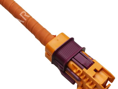 Wiring harness CUPRA FORMENTOR (KM7, KMP) 1.4 e-Hybrid | BP38794403E16 - Image 4