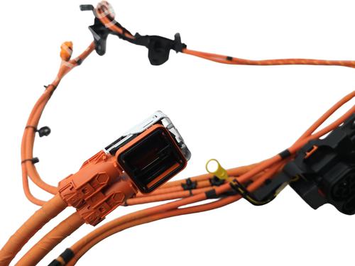 Wiring harness VW TAYRON (R41) 2.0 TDI | BP37229309E16 - Image 4