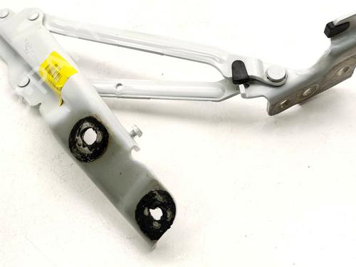hingedoor-check-strap-vw-beetle-5c1-5c2-2011-2012-2013-2014-2015-2016-2017-2018-2019-35758259 main image