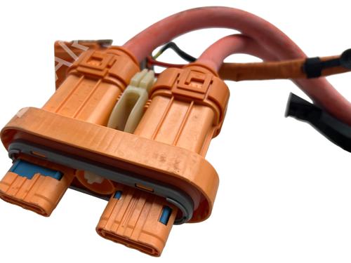 Wiring harness CUPRA BORN (K11) 45 | BP36692668E16 - Image 3
