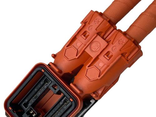 Wiring harness VW TAYRON (R41) 2.0 TDI | BP36692697E16  - Image 6
