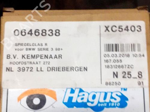 Spejlglas højre Spejlglas højre 21909875 21909875