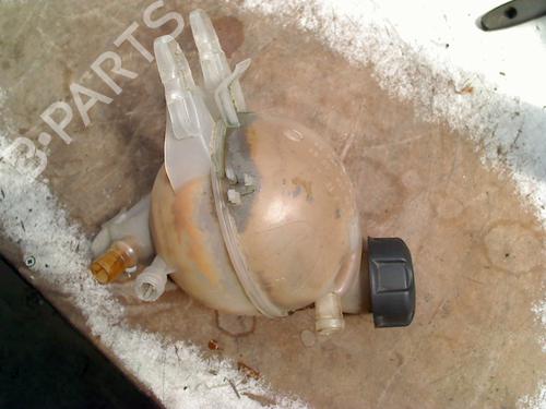 expansion-tank-citroen-c3-ii-sc_-2009-36412818 main image