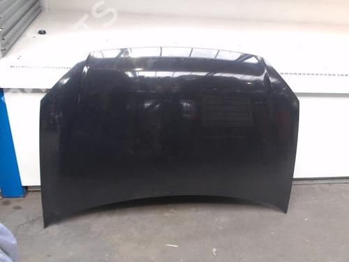 Used Hood VW POLO IV (9N_, 9A_) 1.2 12V (64 hp) 24875647