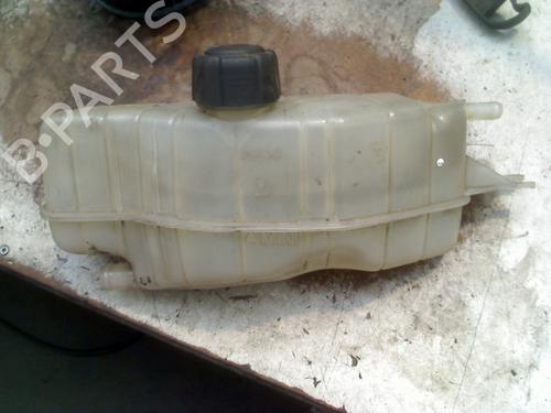 Used Expansion tank RENAULT CLIO III (BR0/1, CR0/1) 1.6 16V (BR05, BR0B, BR0Y, BR15, BR1J, BR1M, BR1Y, CR0B,... (112 hp) 29335027