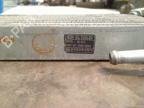 Oil radiator KIA SORENTO I (JC) 2.5 CRDi 4WD | BP31174966M33
