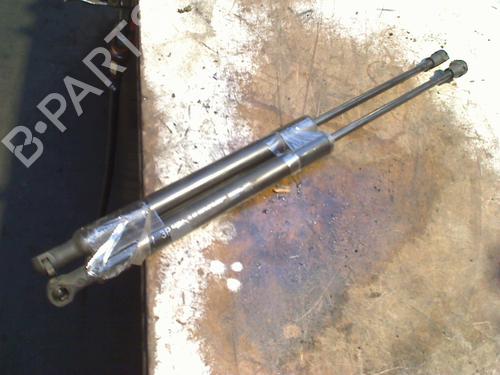 tailgate-lift-support-citroen-ds3-sa_-2009-2010-2011-2012-2013-2014-2015-2016-32473610 main image