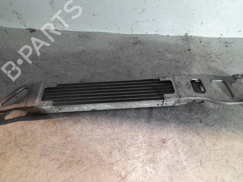 Used Intercooler Intercooler MERCEDES-BENZ A-CLASS (W169) A 170 (169.032, 169.332) (116 hp) 22421668 22421668