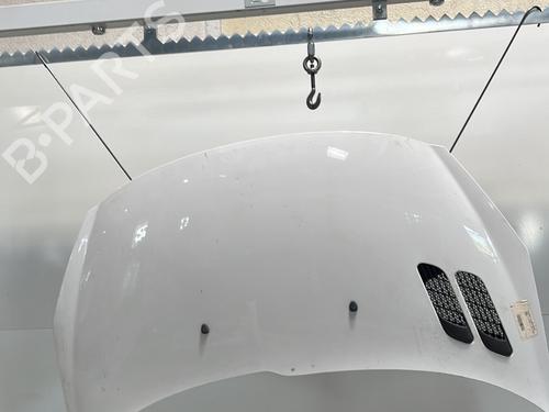 Used Hood PEUGEOT 206+ (2L_, 2M_) 1.4 HDi eco 70 (68 hp) 21695260