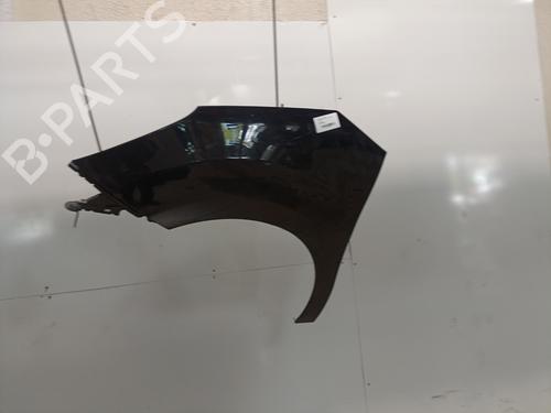 Left front fenders CITROËN C3 II (SC_) 1.4 | BP28166044C41 