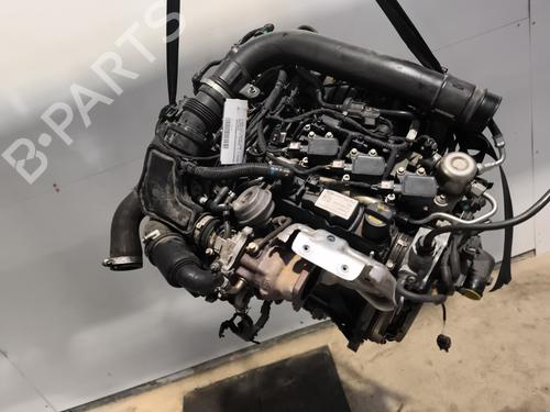 Used Engine Engine FORD FIESTA VII (HJ, HF) 1.0 EcoBoost (101 hp) 31311465 31311465