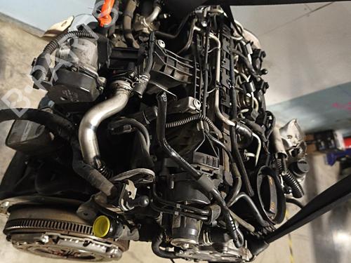 Engine VW GOLF VI (5K1) 1.6 TDI | BP38254580M1 - Image 6