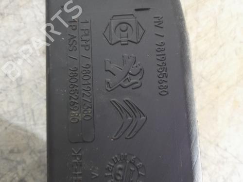 Windscreen washer tank PEUGEOT 308 SW II (LC_, LJ_, LR_, LX_, L4_) 2.0 BlueHDi 150 | BP22789641C113 
