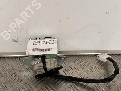 Used Hinge/Door check strap PEUGEOT BIPPER Tepee 1.3 HDi 75 (75 hp) 21715531