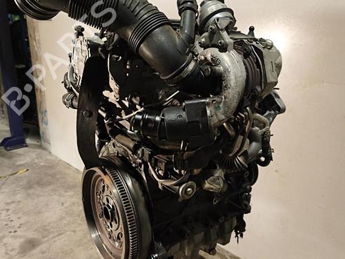 Engine VW TIGUAN (5N_) 2.0 TDI 4motion | BP40201216M1 - Image 8