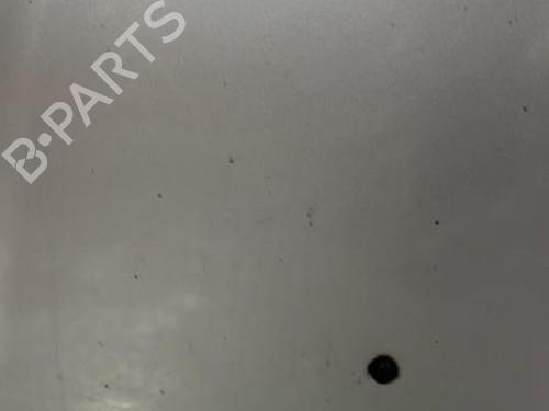 Used Hood RENAULT CLIO III Grandtour (KR0/1_) 1.5 dCi (KR0F) (86 hp) 21706204