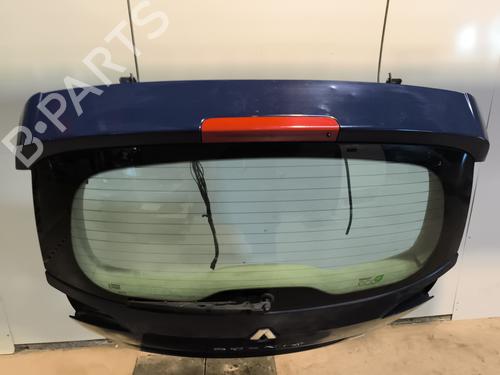 Tailgate RENAULT SCÉNIC III (JZ0/1_) 1.5 dCi | BP29422508C6 