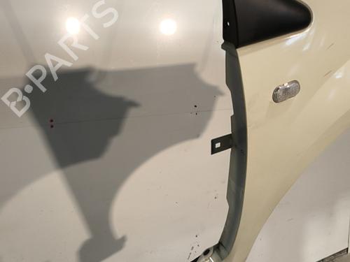 Right front fenders RENAULT TWINGO II (CN0_) 1.5 dCi 90 | BP29997340C42 