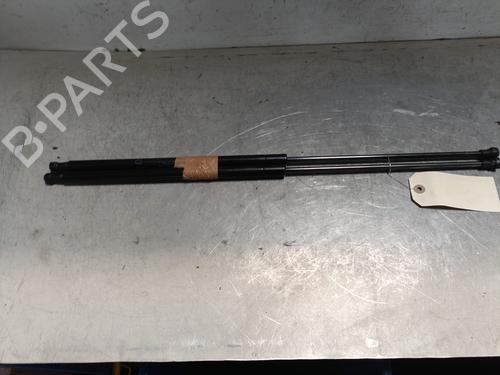 tailgate-lift-support-nissan-juke-f15-2010-2011-2012-2013-2014-2015-2016-2017-2018-2019-28078243 main image