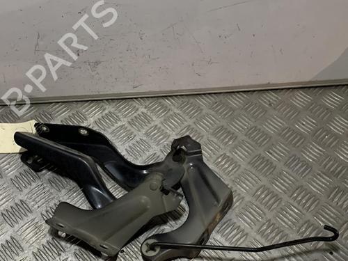 Hinge/Door check strap NISSAN MICRA IV (K13K, K13KK) 1.2 | BP21722861C146 