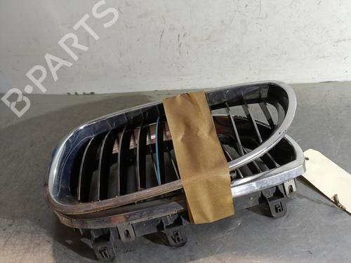 Grille BMW 5 (E60) 545 i | BP29081751C40 