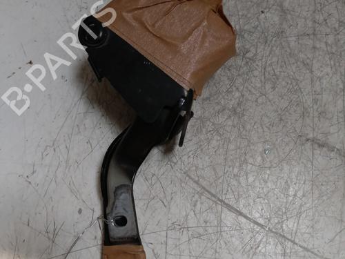 Hinge/Door check strap LANCIA MUSA (350_) 1.4 (350.AXA11, 350.AXA1A) | BP25985650C146 
