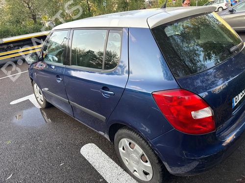 Brugte SKODA FABIA II (542) 1.2 (70 hp) 4292019