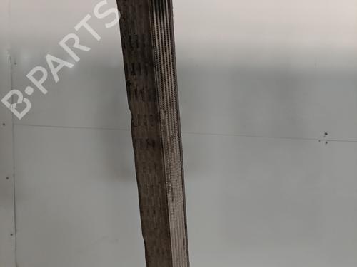 Used Intercooler VW POLO V (6R1, 6C1) 1.6 TDI (90 hp) 25444420