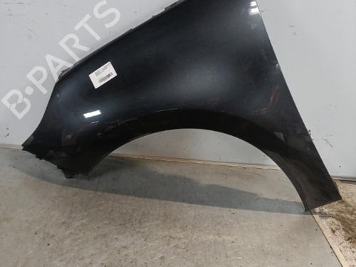 Used Left front fenders RENAULT SCÉNIC III (JZ0/1_) 1.9 dCi (JZ0J, JZ1J, JZ1K, JZ1S) (131 hp) 21710241