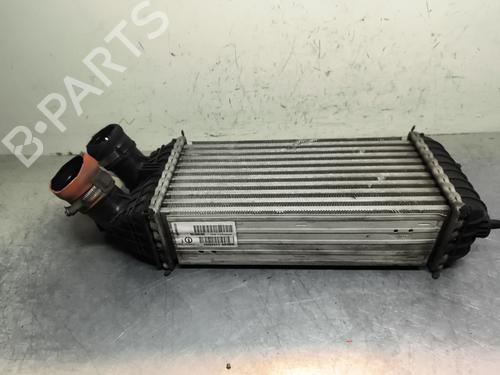 Intercooler CITROËN C4 CACTUS 1.6 HDi 90 | BP31815883M30