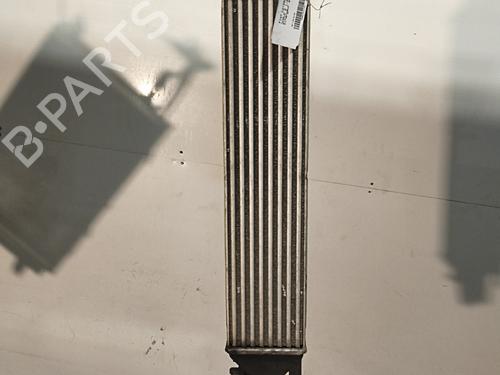 Used Intercooler Intercooler FIAT DOBLO Bus (263_) [2009-2023] 35899556 35899556