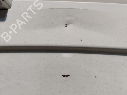 Left rear door FORD TRANSIT CONNECT (P65_, P70_, P80_) 1.8 TDCi | BP23823581C4 