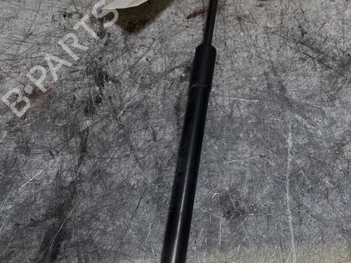 Tailgate lift support BMW 1 (F20) 116 i | BP21720504C138