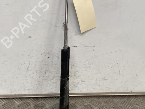 Used Tailgate lift support RENAULT CLIO III (BR0/1, CR0/1) 1.5 dCi (BR17, CR17) (86 hp) 29384456