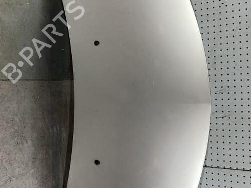 Hood RENAULT CLIO III Grandtour (KR0/1_) 1.5 dCi (KR0F) | BP21706204C1