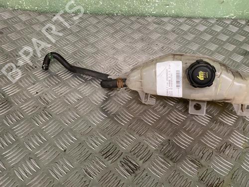 Used Expansion tank RENAULT CLIO III (BR0/1, CR0/1) 1.5 dCi (75 hp) 21716348