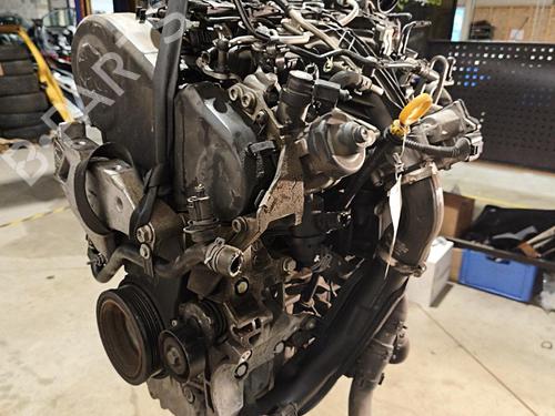 Engine VW TIGUAN (5N_) 2.0 TDI 4motion | BP40201216M1 - Image 2