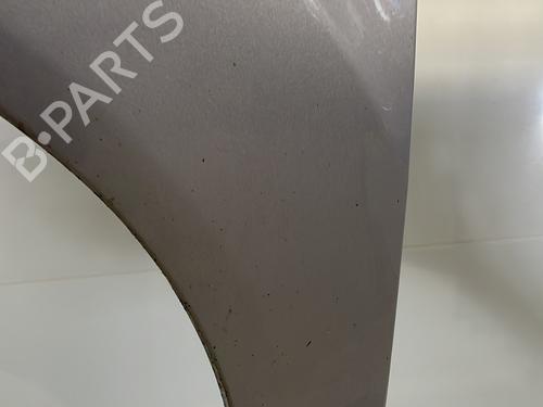 Left front fenders FORD FIESTA VI (CB1, CCN) 1.4 TDCi | BP23822421C41 