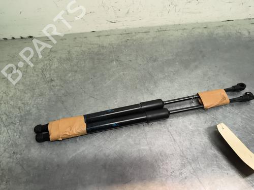 Tailgate lift support DACIA DUSTER (HM_) 1.3 TCe 150 (HMM3) | BP30647211C138 