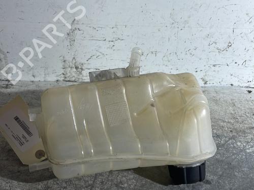 Used Expansion tank RENAULT KANGOO Express (FW0/1_) 1.5 dCi 90 (FW0G, FW05, FW08, FW11) (90 hp) 23823709