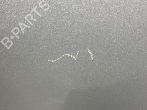 Left rear door FORD FIESTA VI (CB1, CCN) 1.4 TDCi | BP21714798C4 
