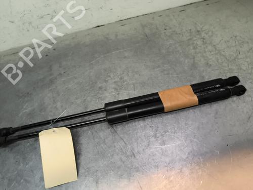 tailgate-lift-support-renault-zoe-bfm_-2012-31662989 main image