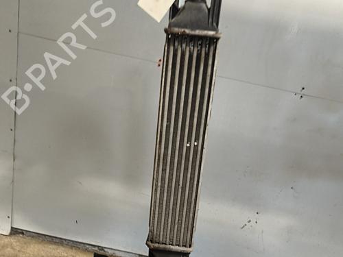 Intercooler Intercooler FIAT GRANDE PUNTO (199_) [2005-2026] 34542724 34542724