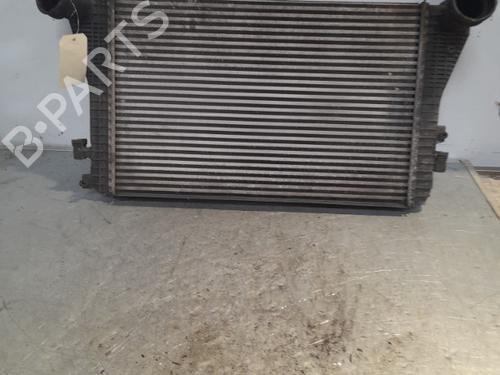 Køler AUDI A3 (8P1) 1.9 TDI (105 hp) 21694142