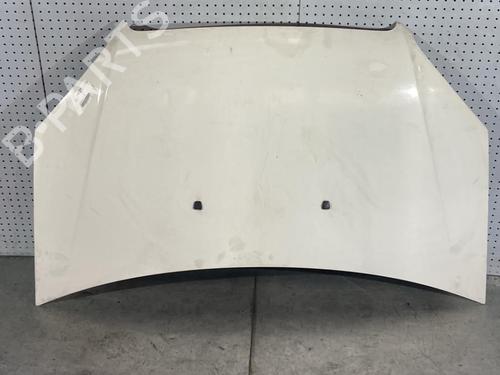 Hood FIAT DOBLO Box Body/MPV (223_) 1.3 D Multijet | BP21701544C1 