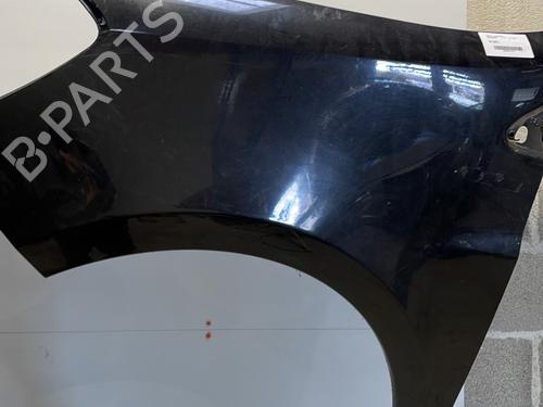 Left front fenders RENAULT CLIO III (BR0/1, CR0/1) 1.5 dCi (C/BR0G, C/BR1G) | BP24181583C41 